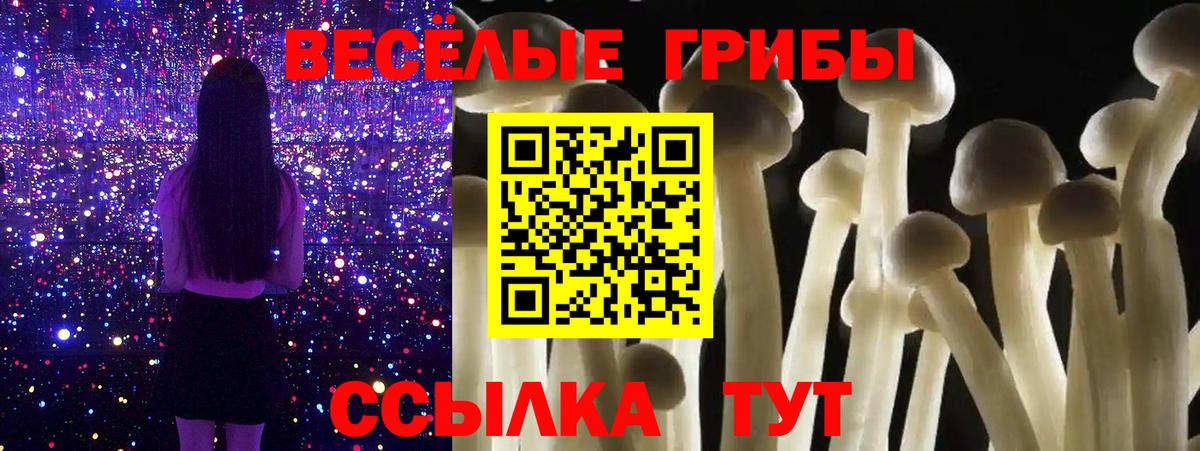 Галлюциногенные грибы прущие грибы Алексин